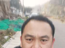 寻找同行的萤火虫