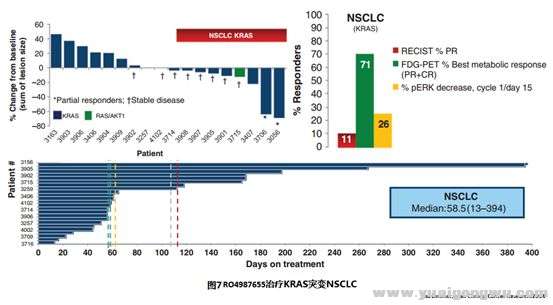 KRAS突变非小细胞9.jpg