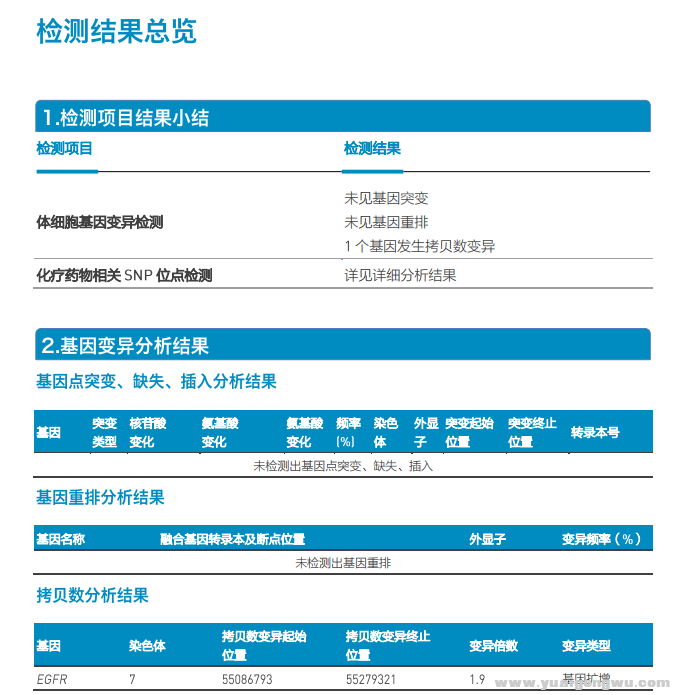 7-基因检测EGFR基因扩增