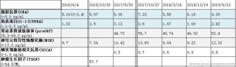 各阶段检查结果