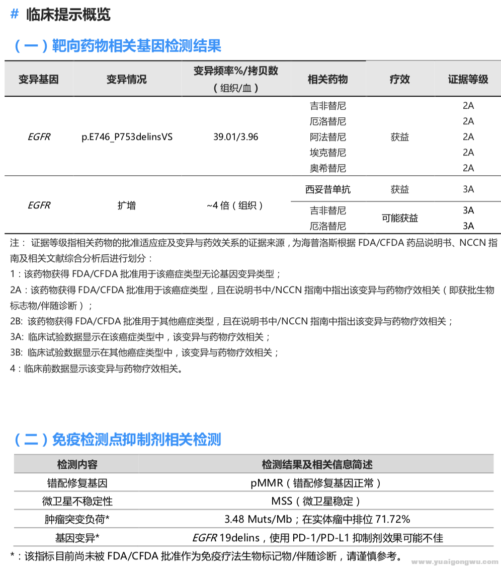 2017-12-25靶向治疗前活检基因检测报告