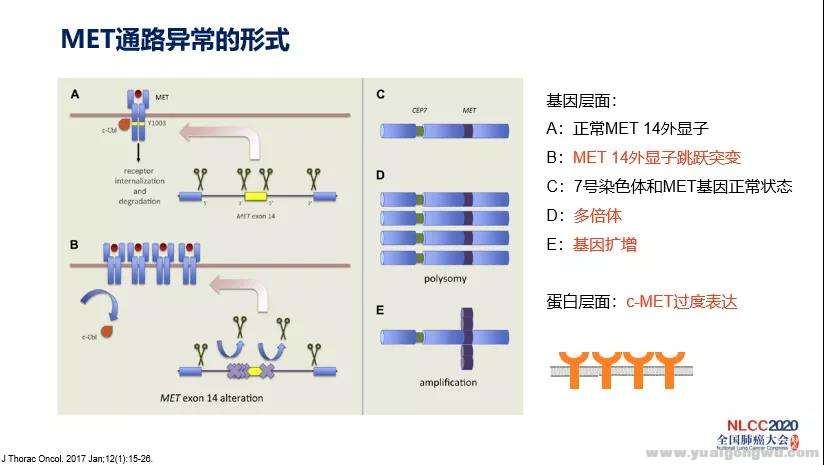 微信图片_20200620203408.jpg