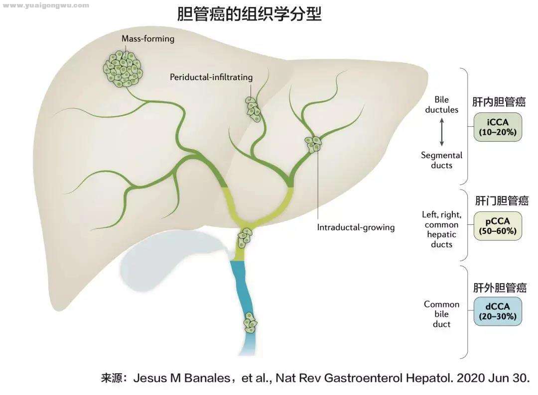 微信图片_20210324173518.jpg