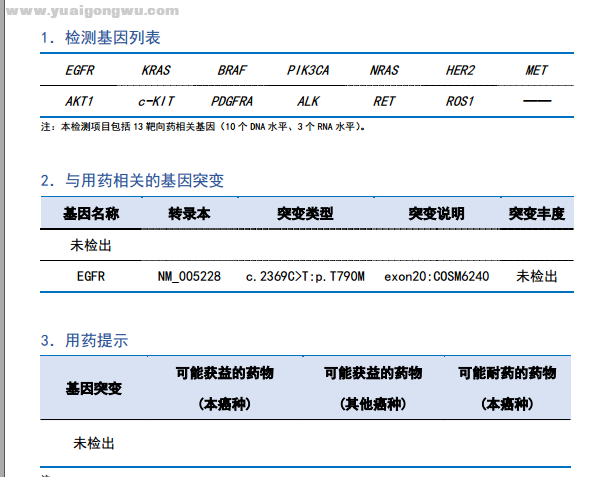 13基因检测结果.png