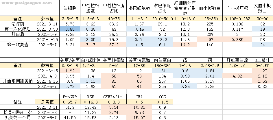 血常规、生化、肿标等