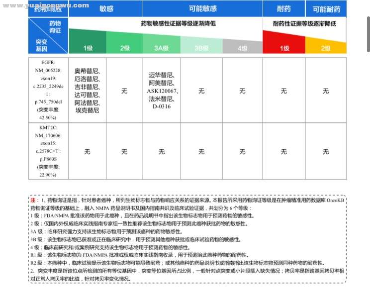 基因检测报告