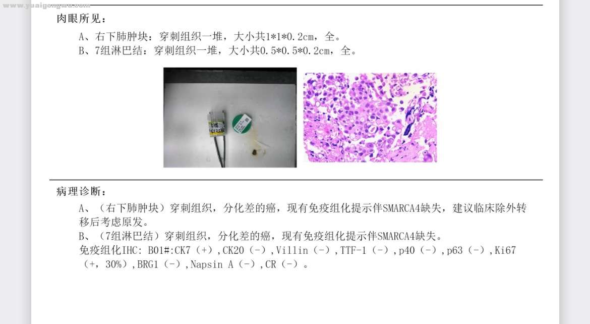 BCB1B1BF-2A70-4232-96F3-EF65A92BE128.jpeg